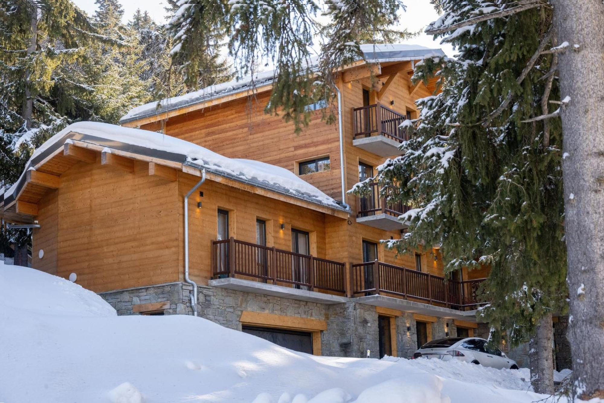 לה פלאנייה Chalet Du Bois Melay - Piscine - Proche Pistes - 15 Personnes מראה חיצוני תמונה